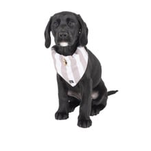 Hamptons Stripe Dog Bandana